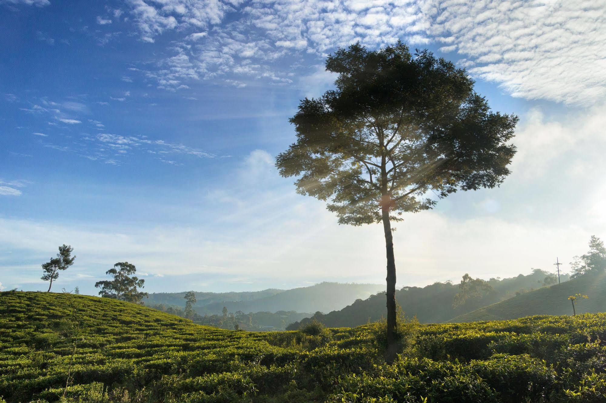 Kent Cottage Nuwara Eliya Exterior photo